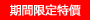 期間限定特價