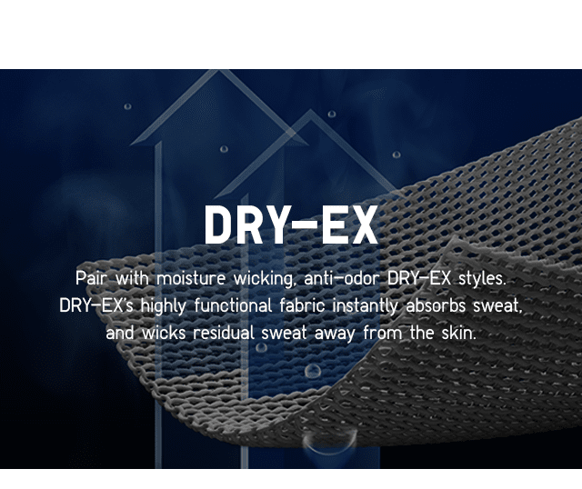 SUBHEAD2 - DRY-EX