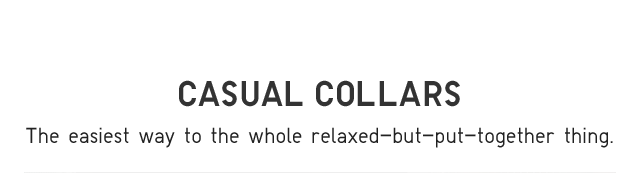 HEADER 2 - CASUAL COLLARS