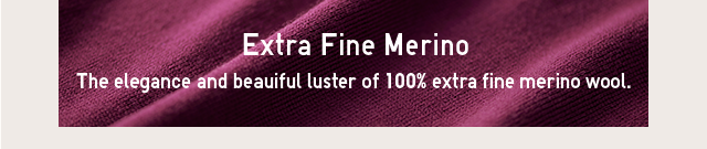 BANNER 1 - EXTRA FINE MAERINO