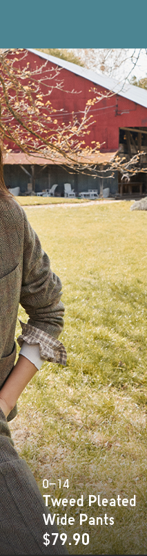 HERO 3 - TWEED PLEATED WIDE PANTS