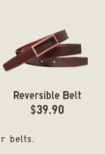 PDP 17 - REVERISBLE BELT