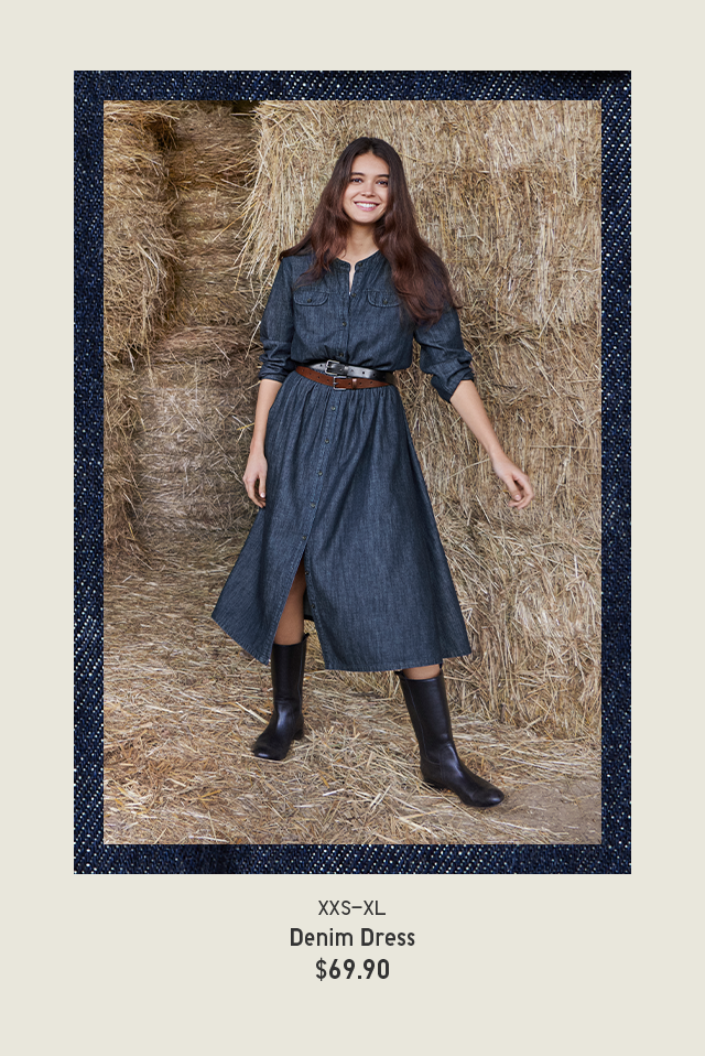 PDP 8 - DENIM DRESS