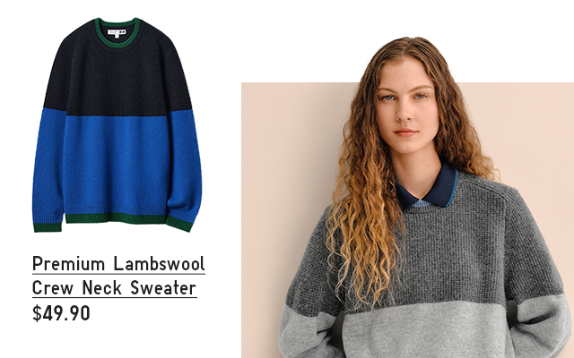PDP 1 - PREMIUM LAMBSWOOL CREW NECK SWEARER