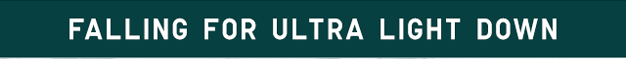 BANNER 1 - FALLING FOR ULTRA LIGHT DOWN