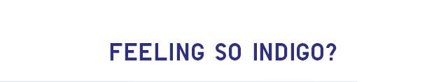 HEADER 2 - FEELING SO INDIGO
