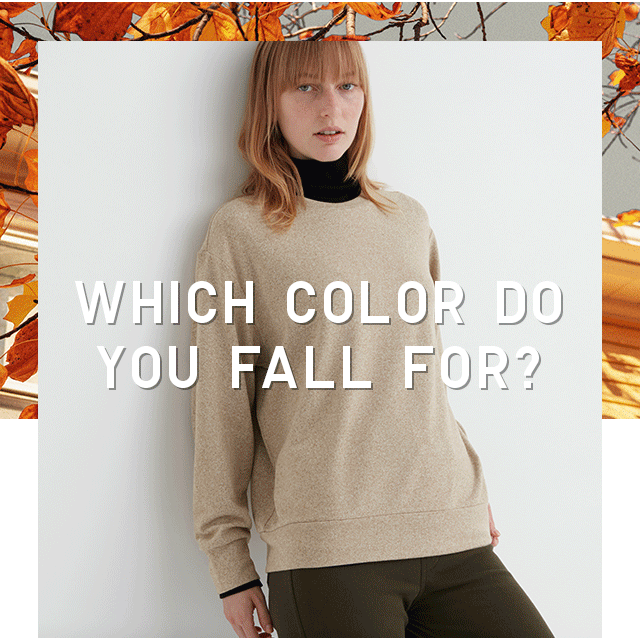 HERO - WHICH COLOR DO YOU FALL FOR