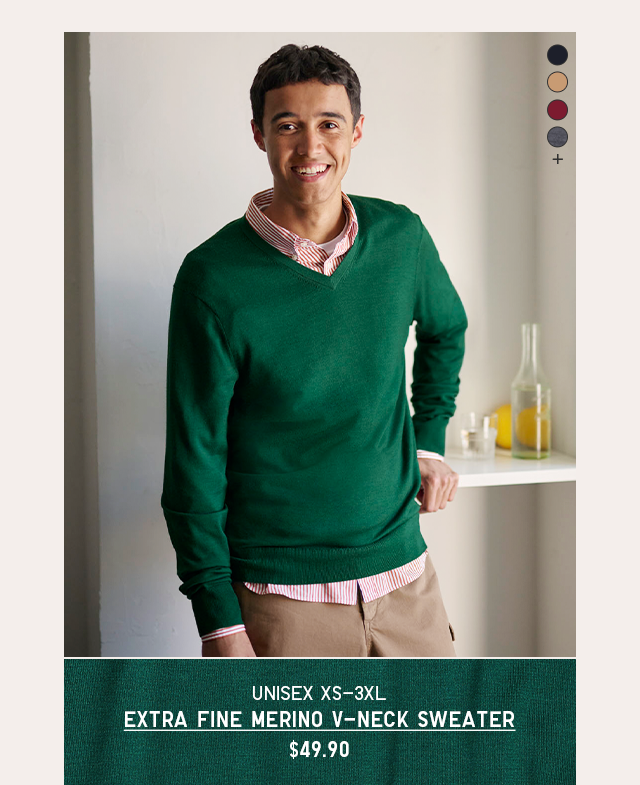PDP5 - MEN EXTRA FINE MERINO V-NECK SWEATER