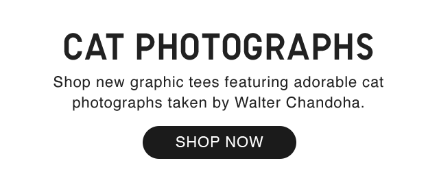SUB - CAT PHOTOGRAPHS SHOP NOW