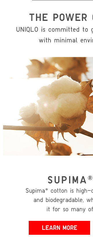 BODY1 - SUPIMA COTTON