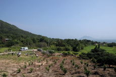 香川県小豆郡 豊島