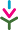 Approved Specified Non-Profit Organization IVY