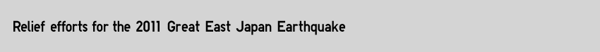 Relief efforts for the 2011 Great East Japan Earthquake