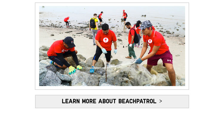 Learn more about Beach Patrol