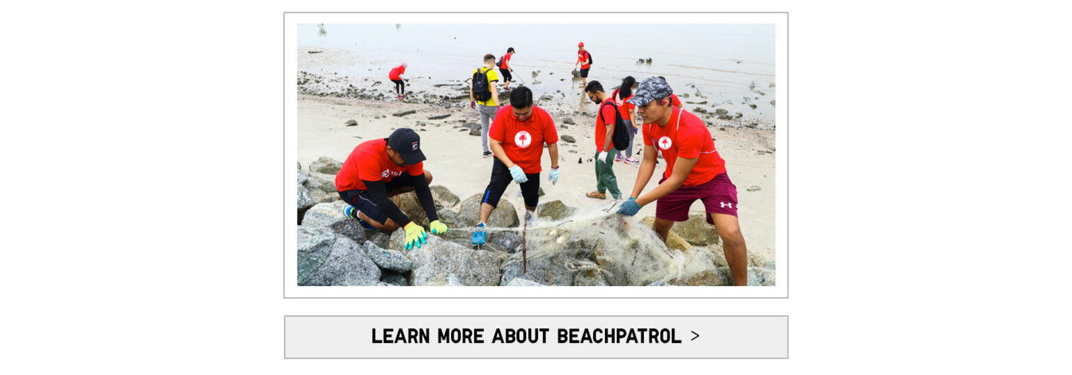 Learn more about Beach Patrol