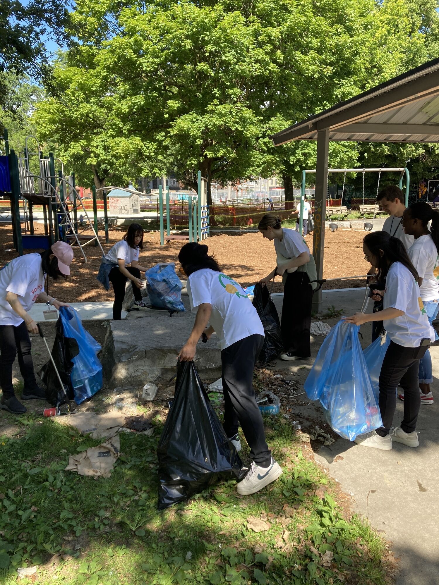 toronto staff cleaning park