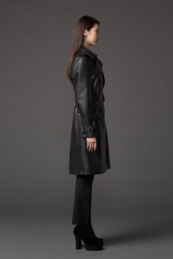 model_img