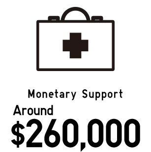 Monetary Support Around $260,000