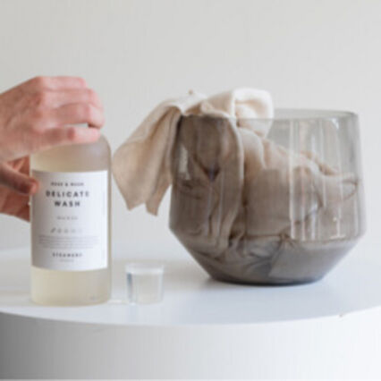 plumiferos de pluma de oca