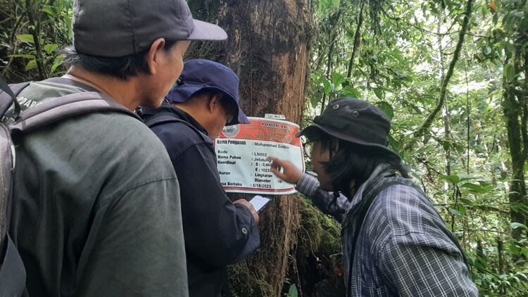 hutan