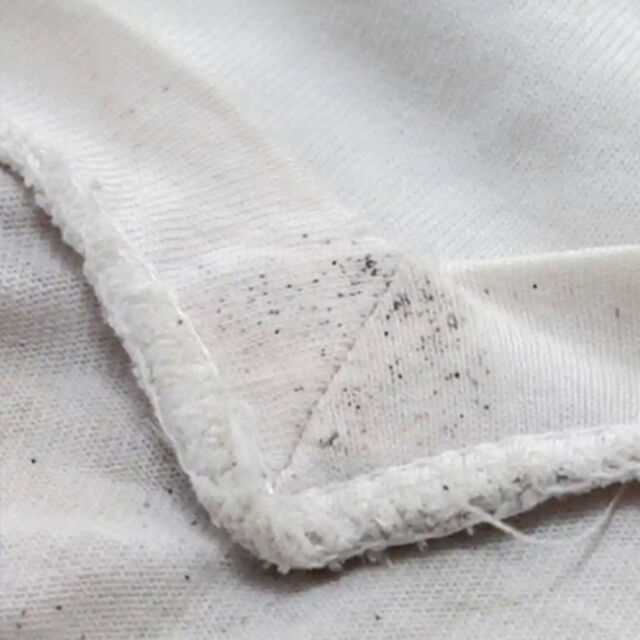 7 Cara Menghilangkan Jamur di Baju, Dijamin Ampuh!