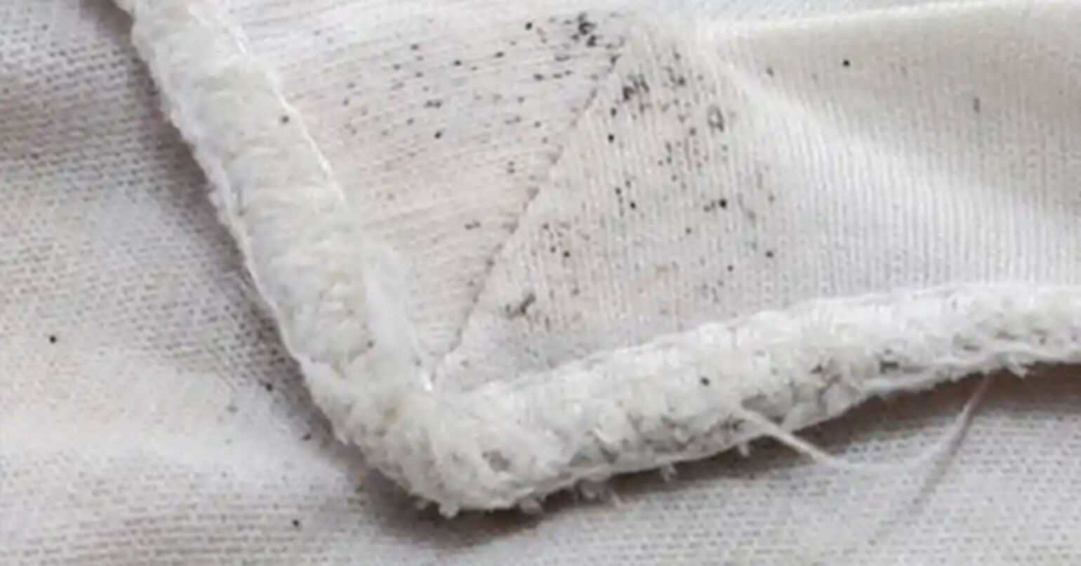 7 Cara Menghilangkan Jamur di Baju, Dijamin Ampuh!