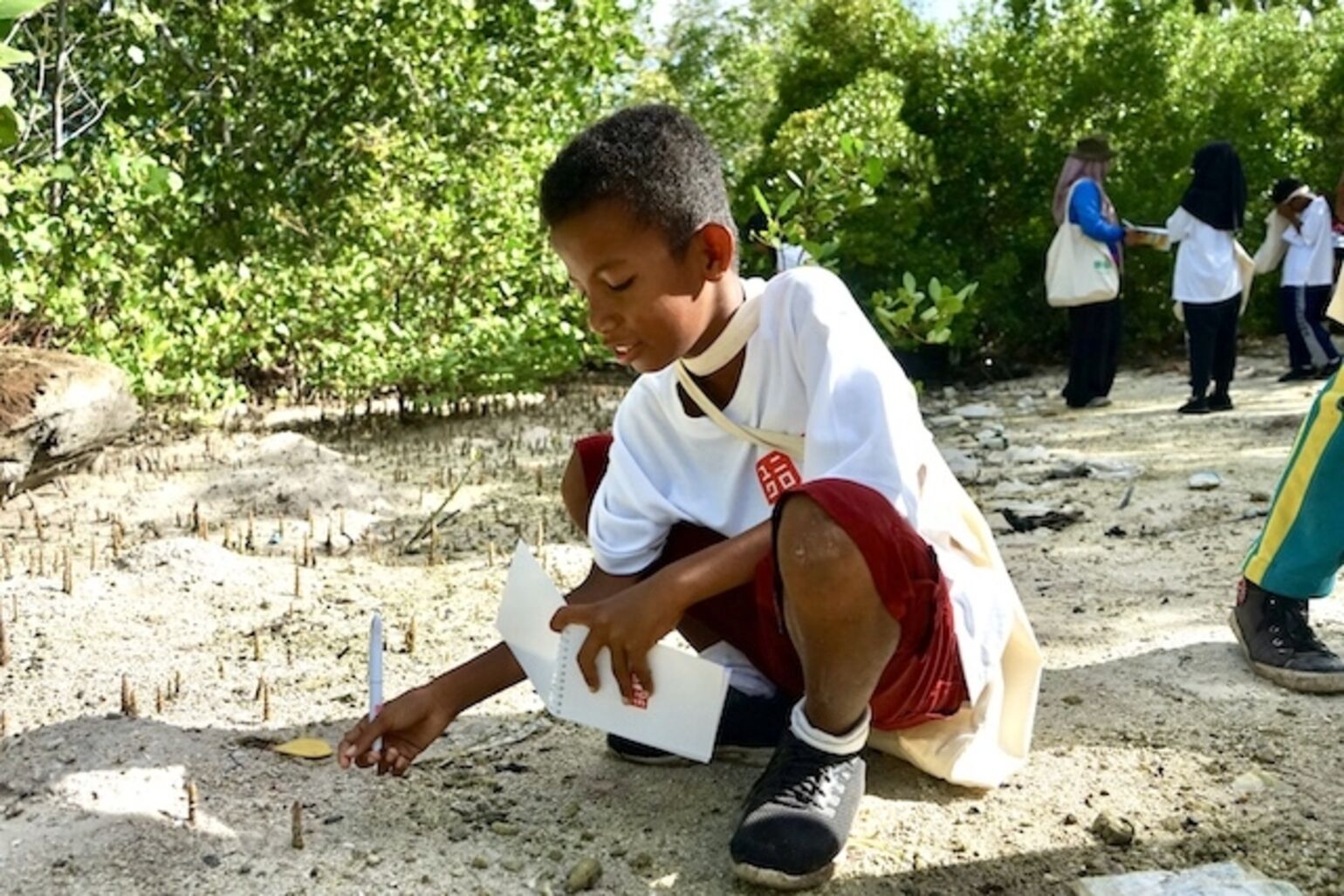 Ocean Conservation Project UNIQLO di Wakatobi