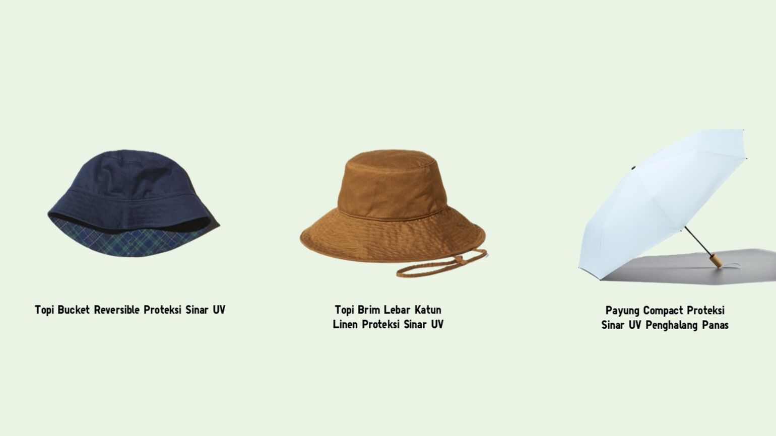 topi