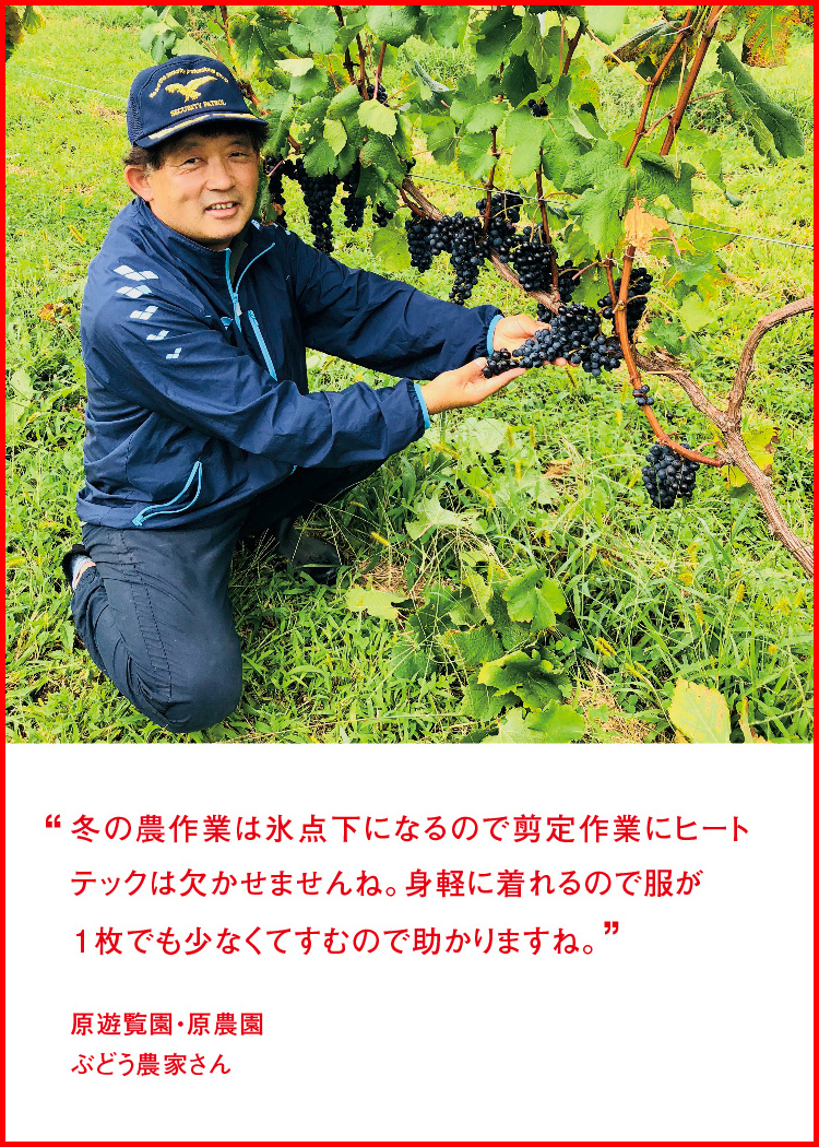 冬の農作業は氷点下になるので剪定作業にヒートテックは欠かせませんね。身軽に着れるので服が１枚でも少なくてすむので助かりますね。 ─ 原遊覧園・原農園：ぶどう農家さん