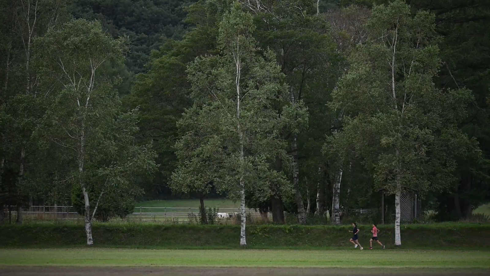 合宿と、ラン教室の模様_05