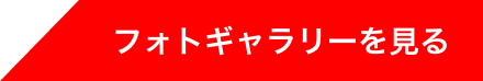 フォトギャラリーを見る