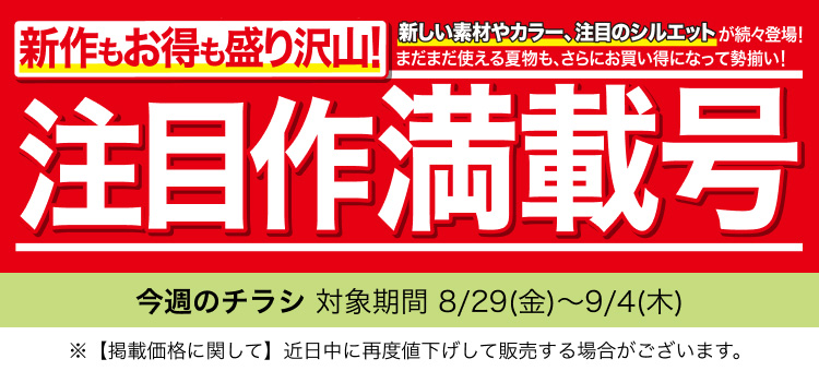 ちょこ-27まで期間限定値下げ トリックスター / Ninja ZX-25R（21-22） 政府認証ダウンフル