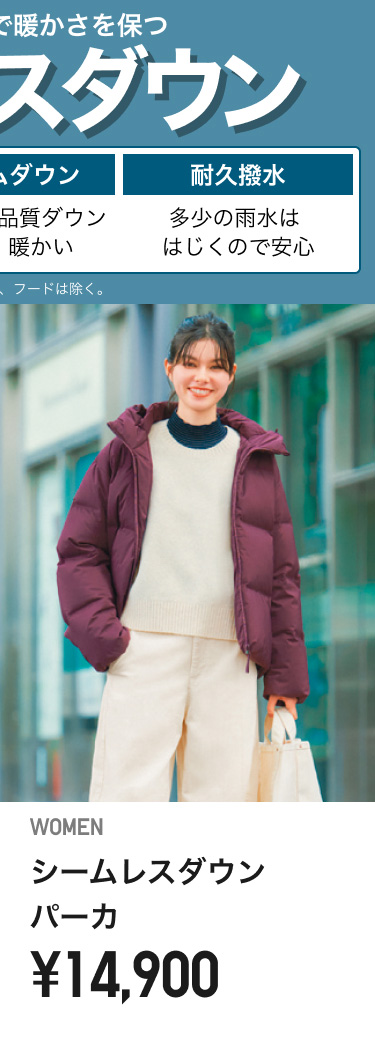 レディースダウン