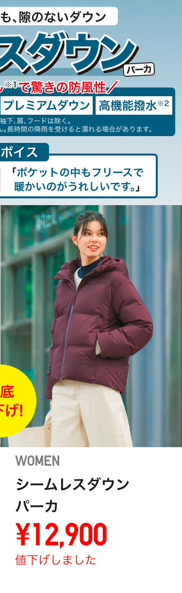 レディースダウン