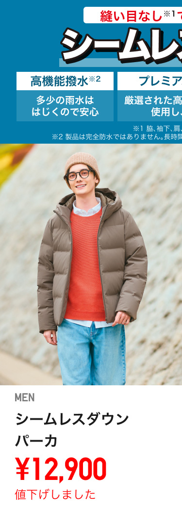 メンズダウン
