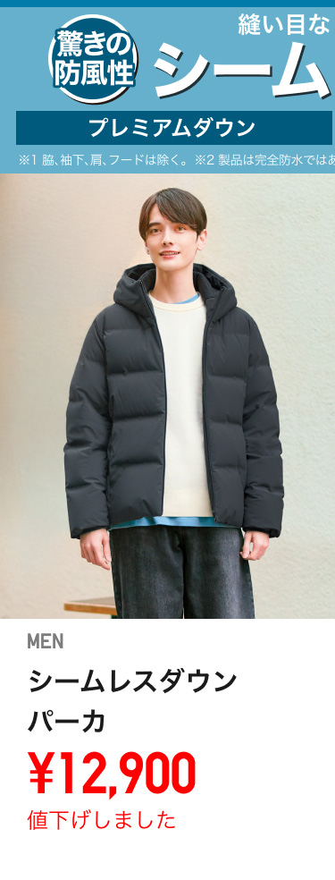 メンズダウン