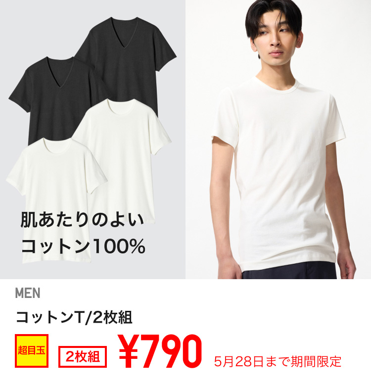 メンズコットンTが期間限定価格でお買い得