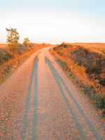 20060404_1.jpg