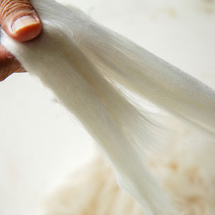 Super Non-Iron Shirt / Fabric