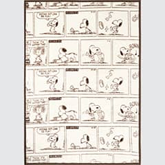 ピーナッツ ホリデー ヒートテックモウフ（シングル）