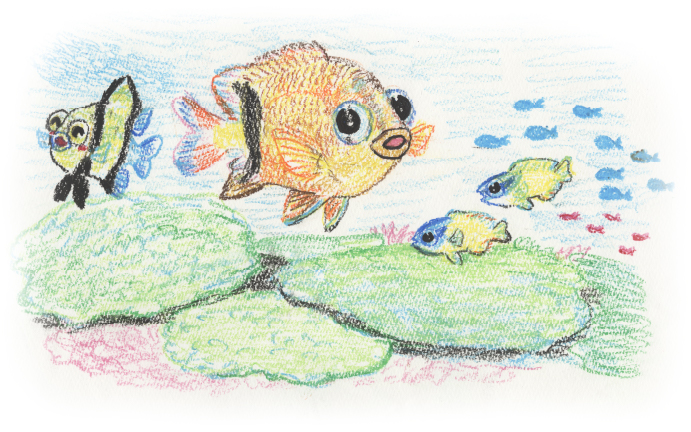 Sakana-kun, how has the sea changed since you were in primary school?