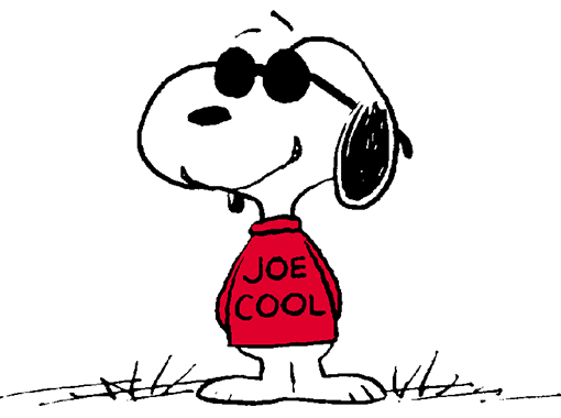 snoopy joe cool