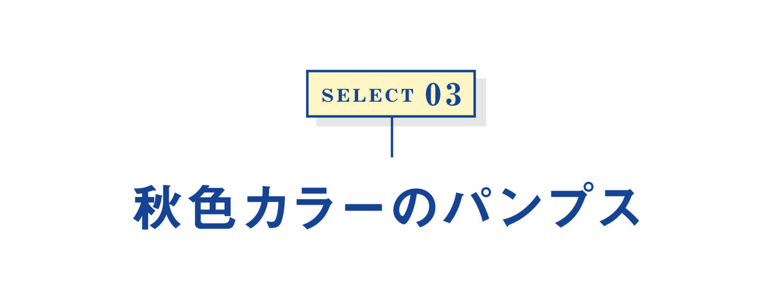 select03 秋色カラーのパンプス