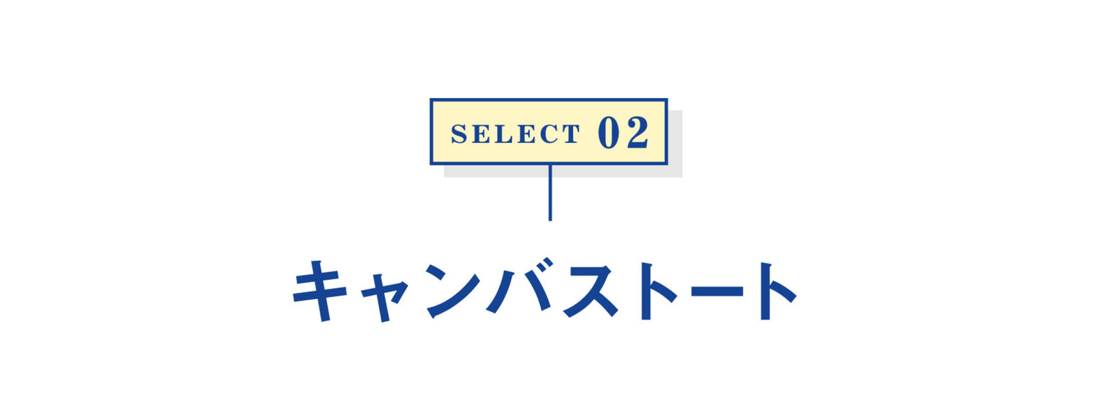 select02 キャンバストート