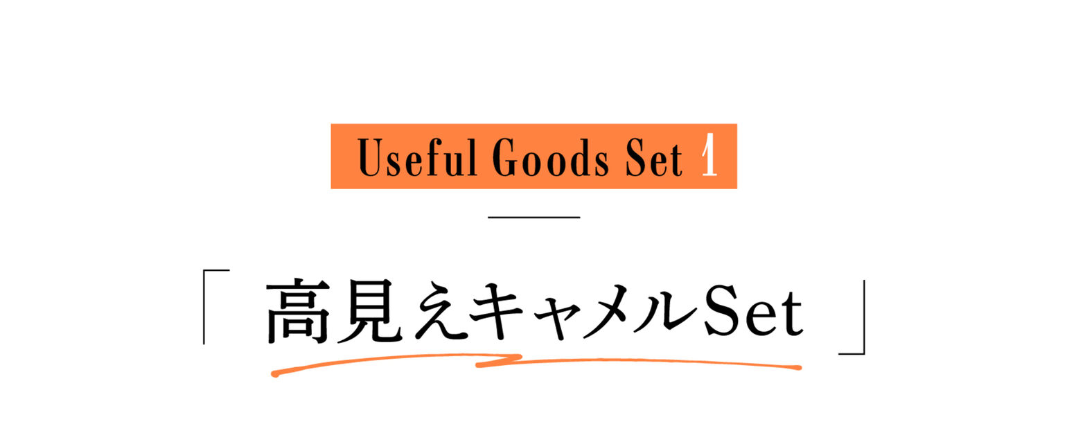 Useful Goods Set１「高見えキャメルSet」