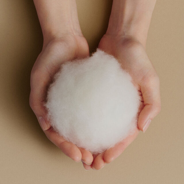 こだわりぬいた高品質100