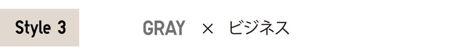 Style3 GRAY×ビジネス