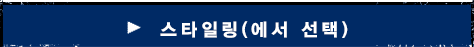 스타일링(에서 선택)