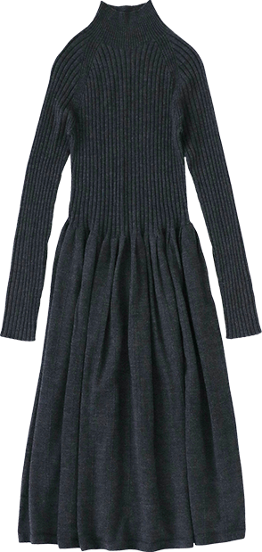 3D Extra Fine Merino Ribbed Dress