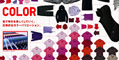 Screen Image“COLOR”(Japanese Version)